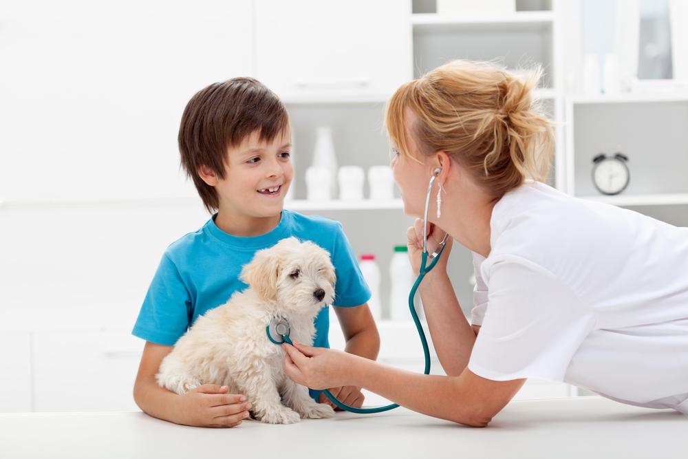 5 Ways Pet Insurance Can Be a Lifesaver