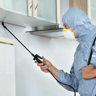 6 factors to consider before selecting a pest control company