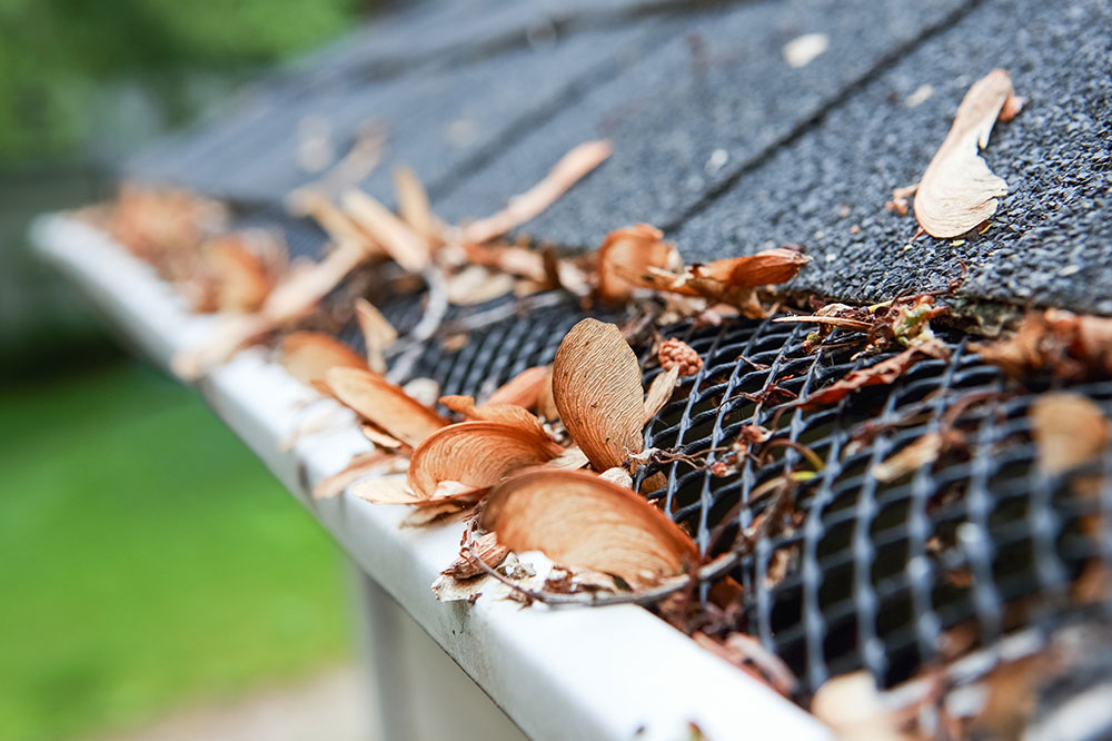 3 types of rain gutter guards that are worth checking out