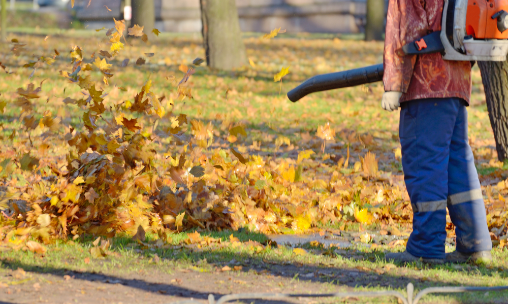 Guidelines To Select The Best Leaf Blower