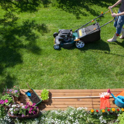 Lawnmowers Worth Buying During Sales