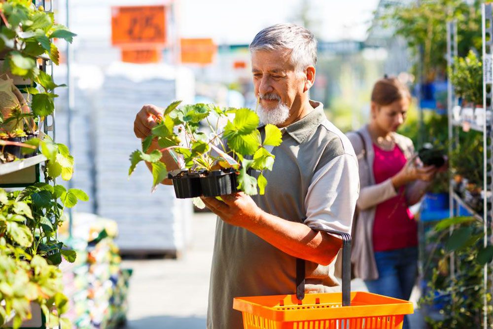 Love gardening? Here&#8217;s how you can start a garden in your backyard