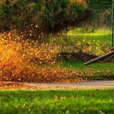 Planning on buying a leaf blower? Here&#8217;s what you need to know