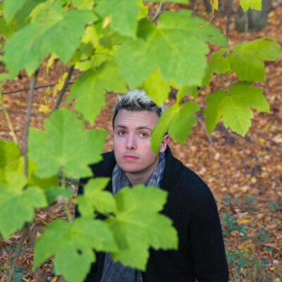 Pruning of maple trees