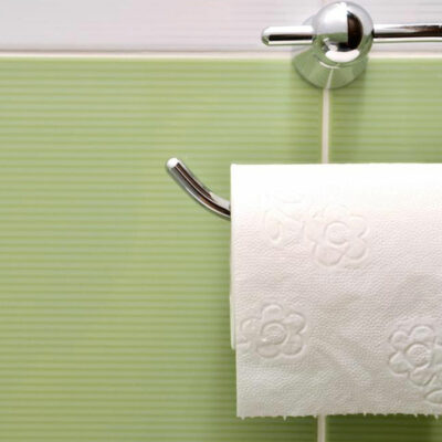 Types of bathroom tissue holders