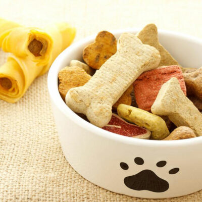 6 things to know about dog food allergies