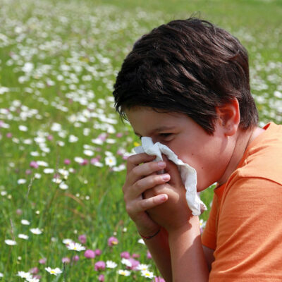 A Guide to Pollen Allergies