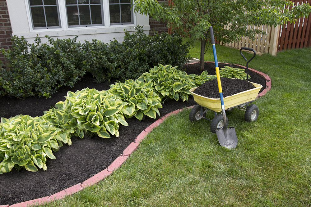 Advantages of rubber mulch