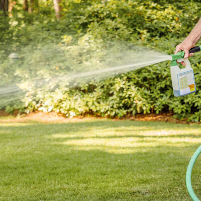 Types of Grass Fertilizers and Tips to Choose the Right One