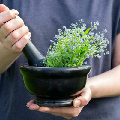 Steps to Grow Herbs Indoors in Water